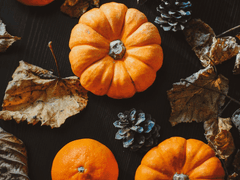 뱀파이어는 핼러윈에 무얼 할까(2)