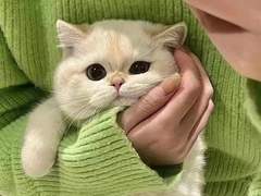 Ein traumhafter Tag ①