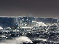 파테르노/성직자