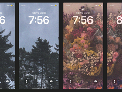 [아이폰/아이패드 배경화면] Forest