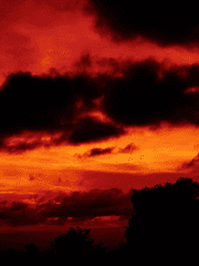 IF) 해즈빈 호텔