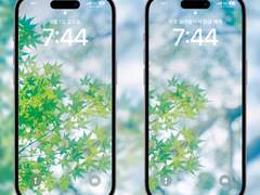 [무료 배경화면] 싱그러운 순간 SET