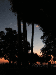 차원 이동 및 빙의 현상 연구소