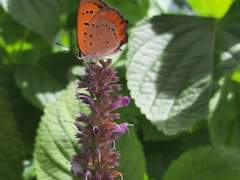 D 스토리 권하는 사회