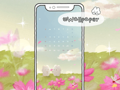 [배경화면 공유] 코스모스밭 작은토끼