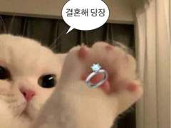 ' N.E.O 한 하숙집에 오신것을 환영합니다 ' 올렷어요!!