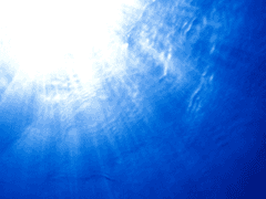 검은 가면 [지하]