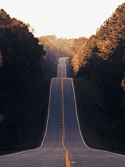 면직 이후의 삶