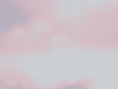 사랑하는 법은 알고 있었다.