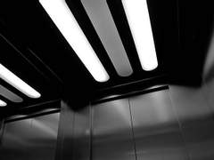 무엇이 두려운가