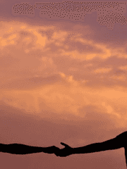 월연 참가작 백업용