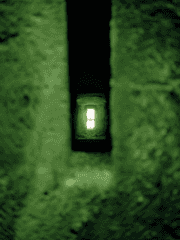 파라라이 나폴리탄