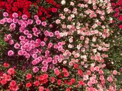 [은혼 드림/썰] '유튜버'가 된 그들 (해결사)