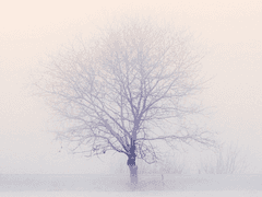 한 동네의 일화