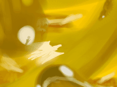 지식의 도서관 0화