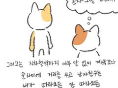 결혼해도 될까?