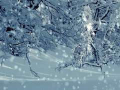 그리운 이에게.