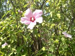 우리들의 마음속에서