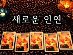 [타로] 새로운 인연