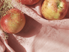 임신한 드림주와 주술회전 캐릭터들-고죠 사토루