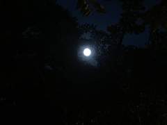 +3 +4+5 드디어 모기에 물리기 시작했다