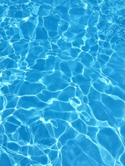 군자 커미션 샘플 모음