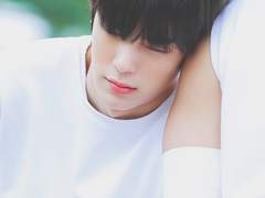 낭만없는 여름이란 없다.