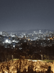 그들은 재앙이었다