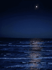 안녕, 나의 이해자 씨.