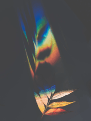 특별한 그들과 친해지는 법