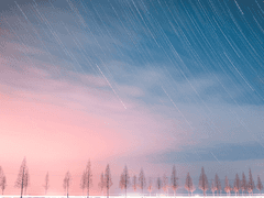 진이커 • 공개 프로필 B