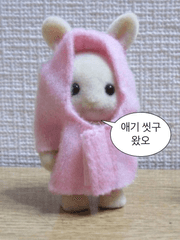 시티외고 학생들