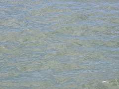 하시의 관성 (1)