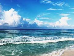 티에리스 티즈 / XX / 17