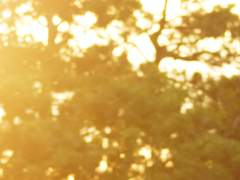 친애하는 나의 친우에게.