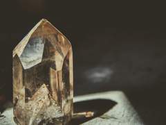 카멜리아 L. 에드가 / 여성 / 19