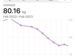 돈 안쓰고 1년간 28kg 감량한 후기(93kg→65kg)