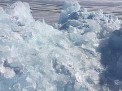 고민이 많았던 겨울바다