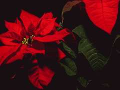 약속을 XX하는 것