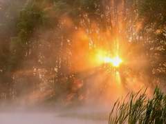 By the side of the snow that melts in the sea, to you