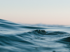 Jacksie : 오직 나만이