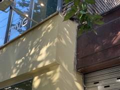 [숲] 09.03 | 초록과 초록