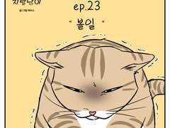 🐱우리집 지랄냥이 : 23화🐱