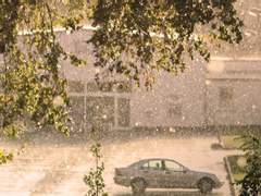 비가 오는 여름날