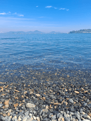 낭랑인간들의 고민들