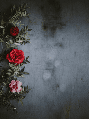 only friends(온리 프렌드)