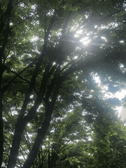 카톡으로 쓰는 하이큐