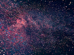 띠별 궁합 [호랑이띠]