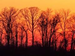 [븨백]영겁과 순간의 틈에서