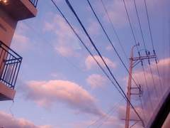 [카이신] 그 푸른 달빛 아래서